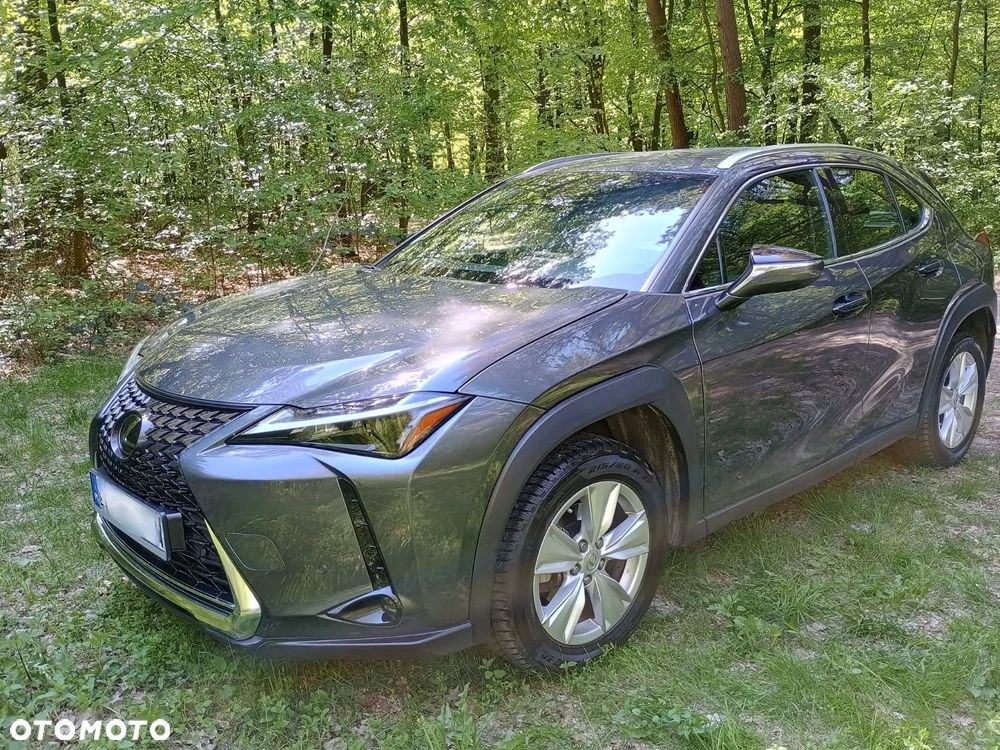 Lexus UX 250h Prestige 2WD - 2