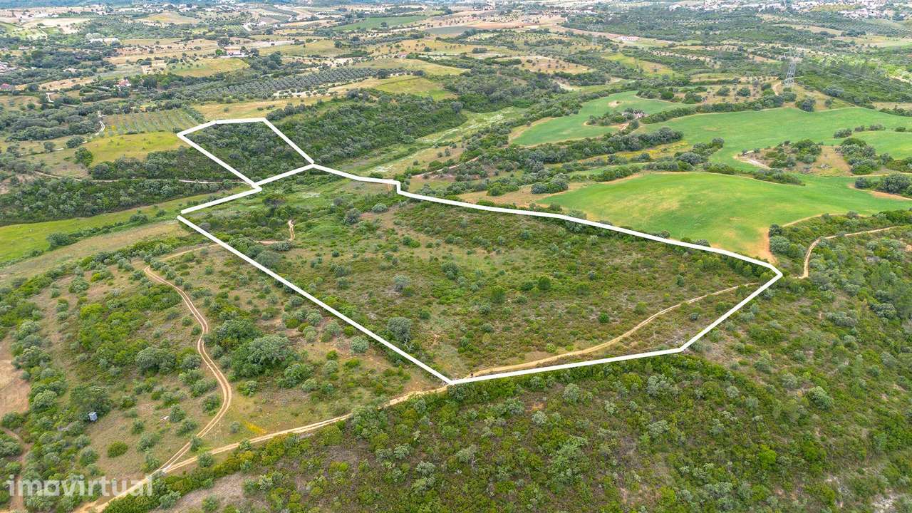 TERRENO COM 50.000M2 EM SANTARÉM - Grande imagem: 3/33