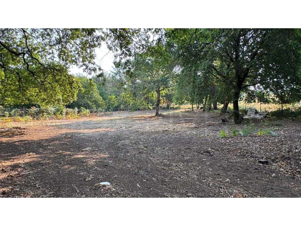Terreno para construção em Cerdal, Valença - Grande imagem: 4/11