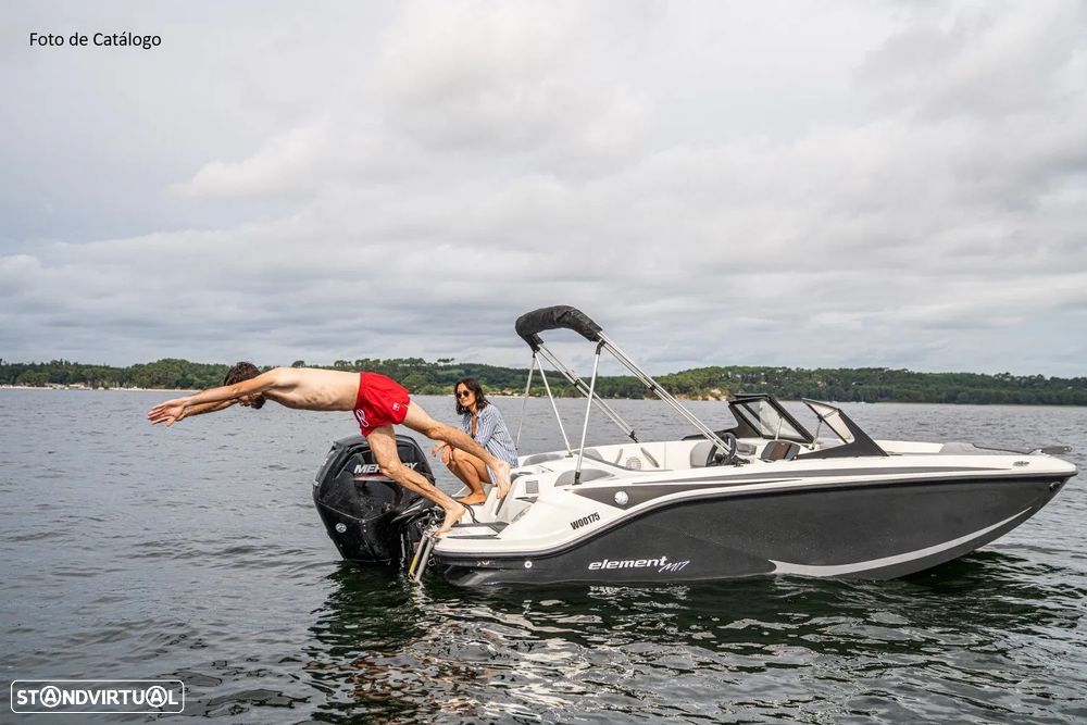 Bayliner Element M17 - 10