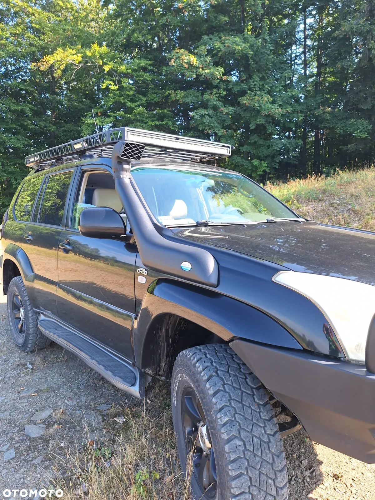 Toyota Land Cruiser - 8