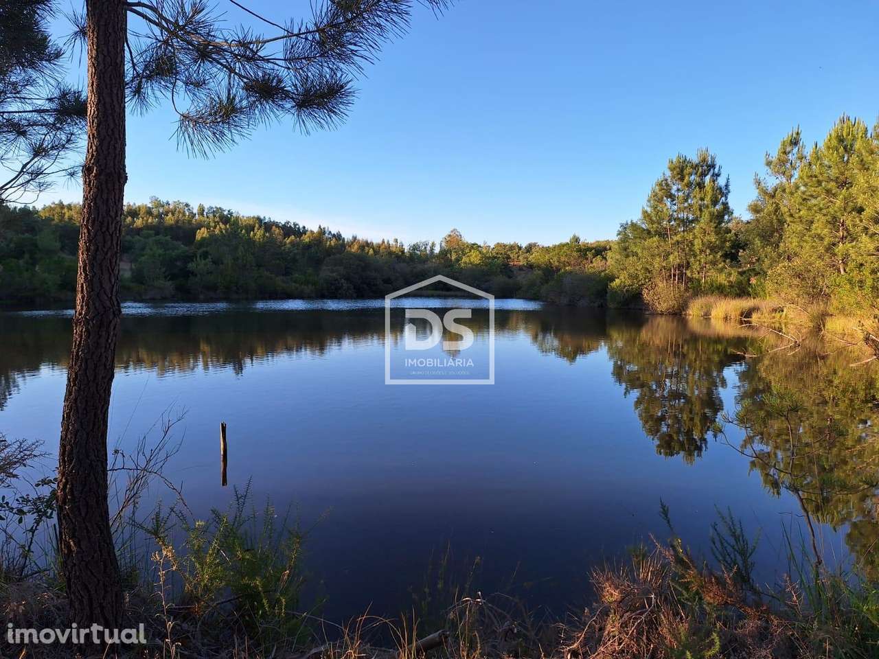 Herdade  Venda em Raposa,Almeirim - Grande imagem: 3/27