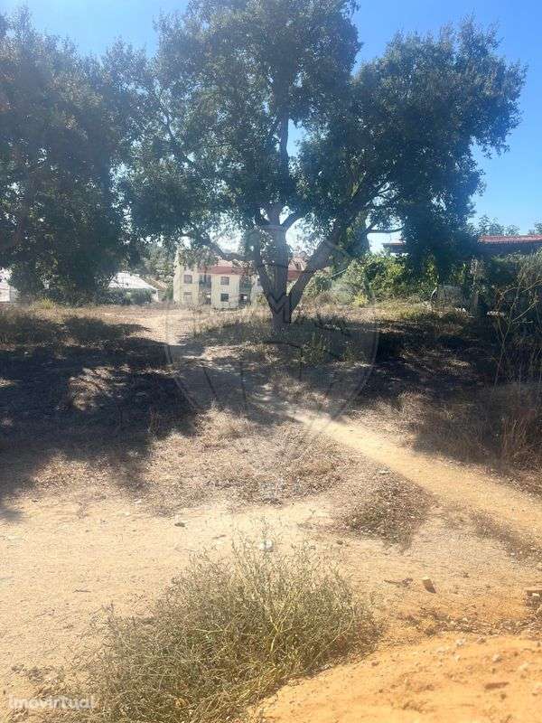 Terreno  para venda - Grande imagem: 3/5