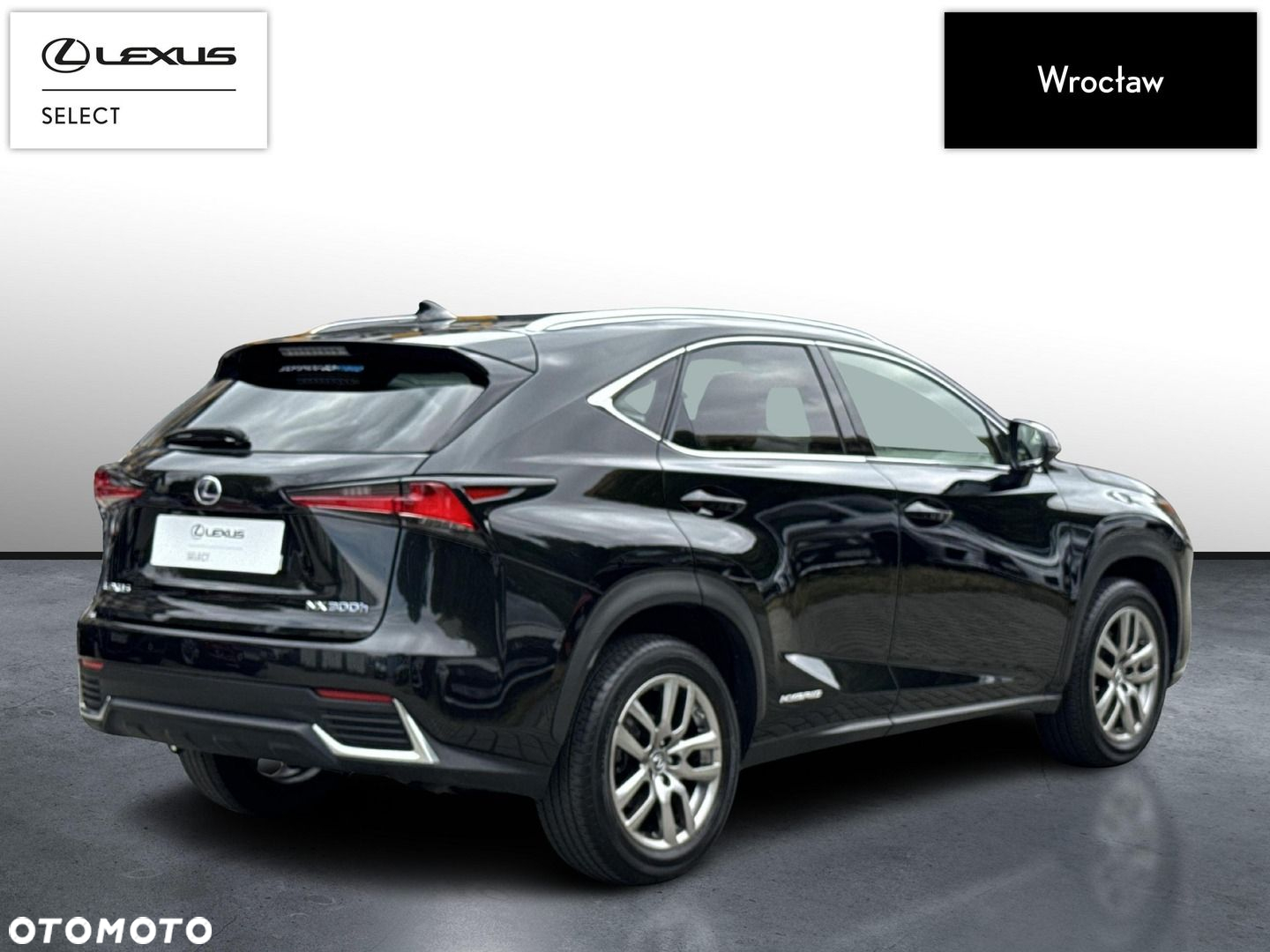 Lexus NX - 5