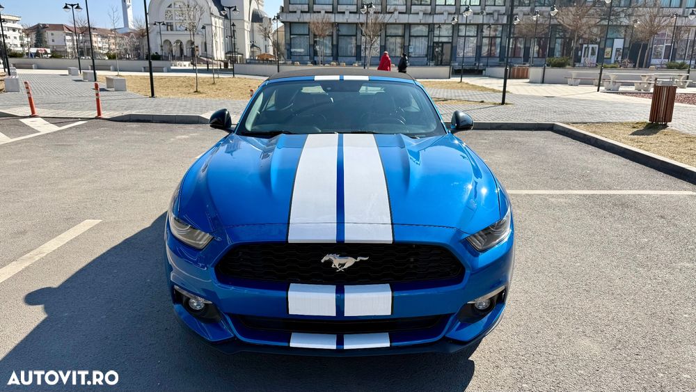Ford Mustang Cabrio 2.3 Eco Boost - 6