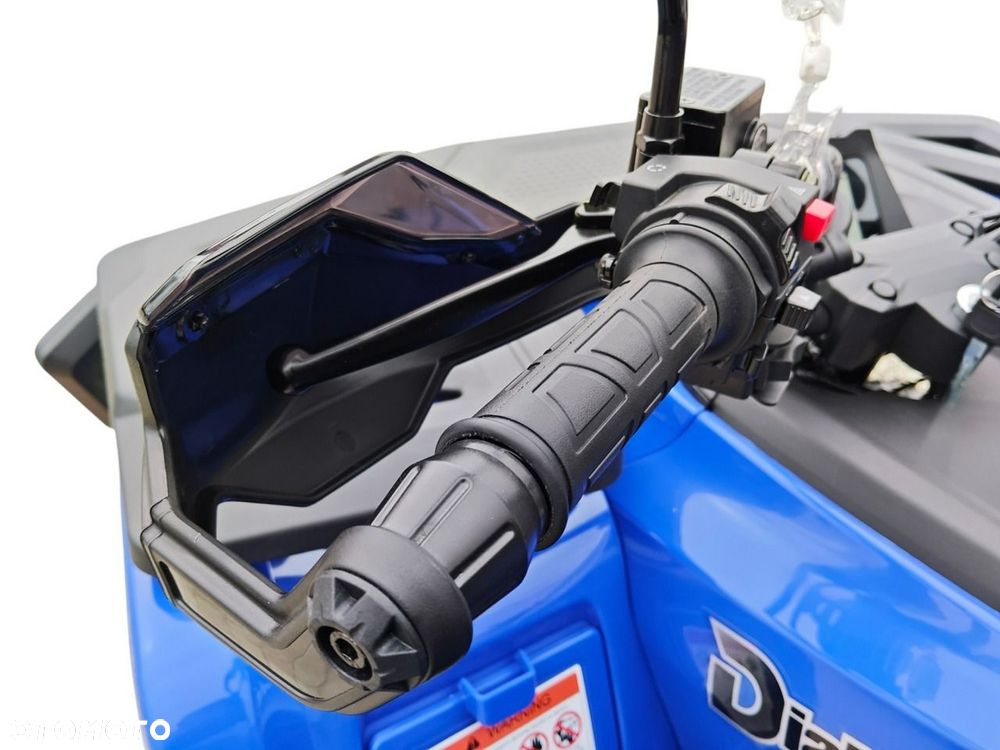 Diabolini Inny - 37