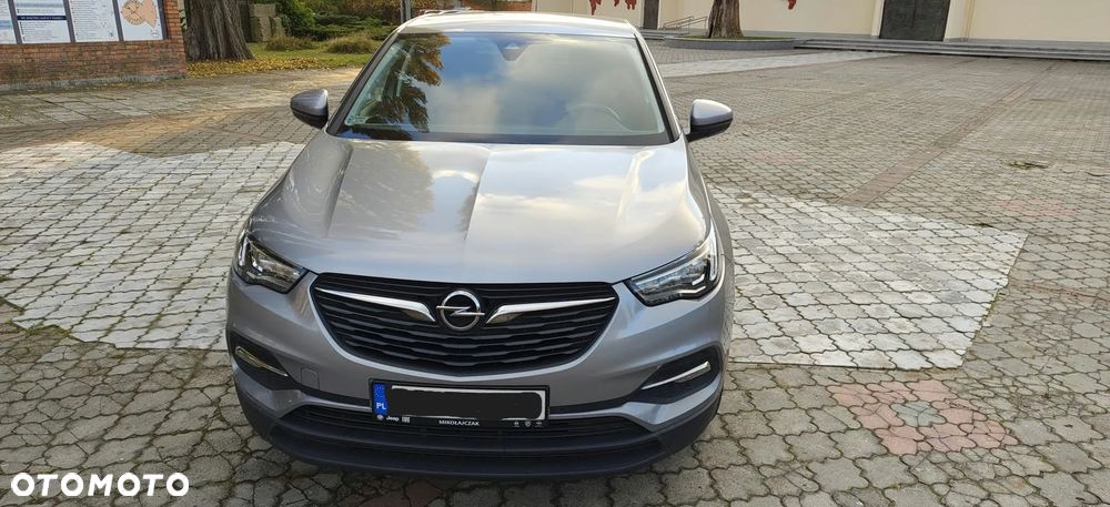 Opel Grandland X 2020 photo 3