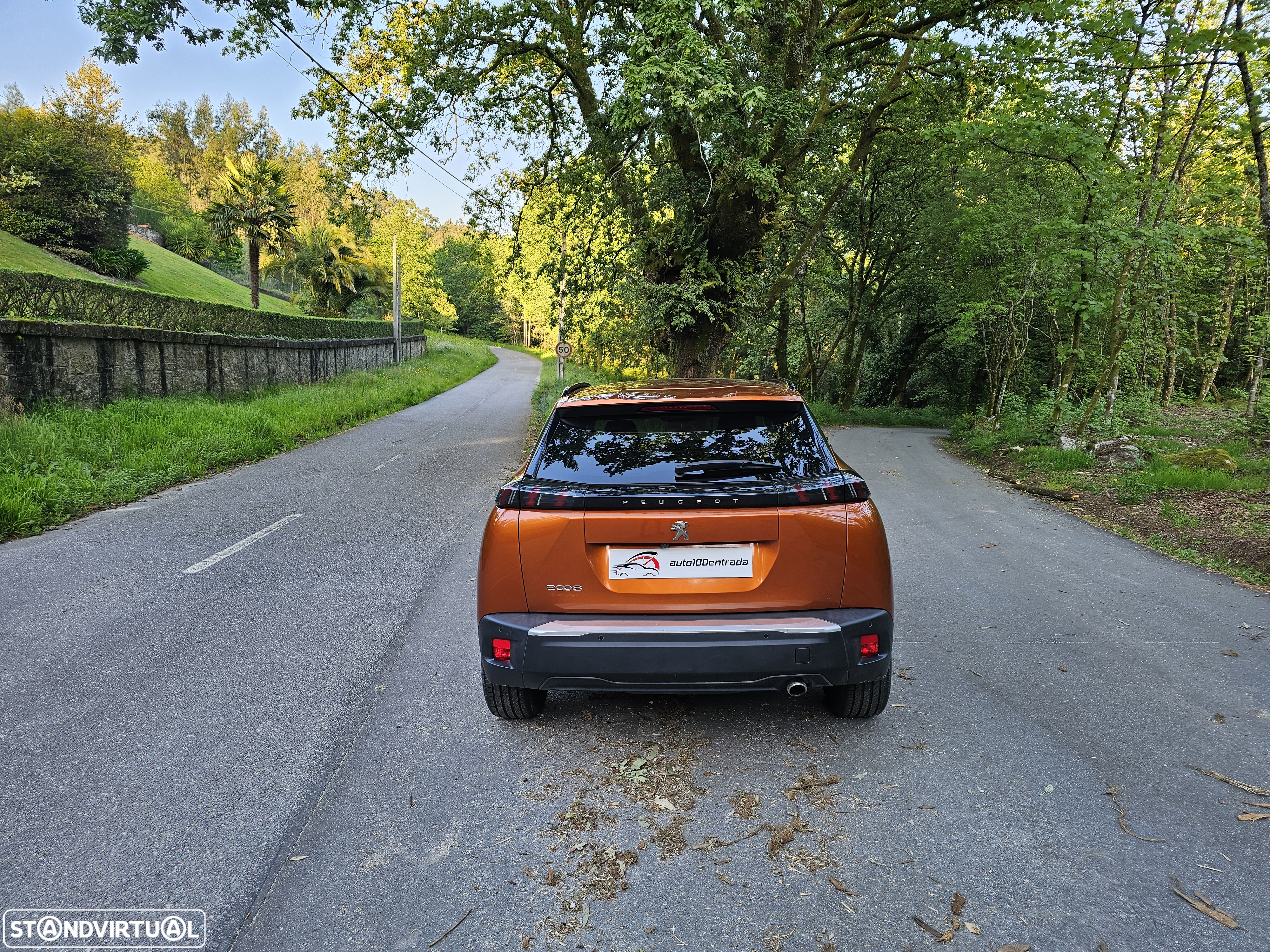 Peugeot 2008 ver-1-5-bluehdi-allure - 6