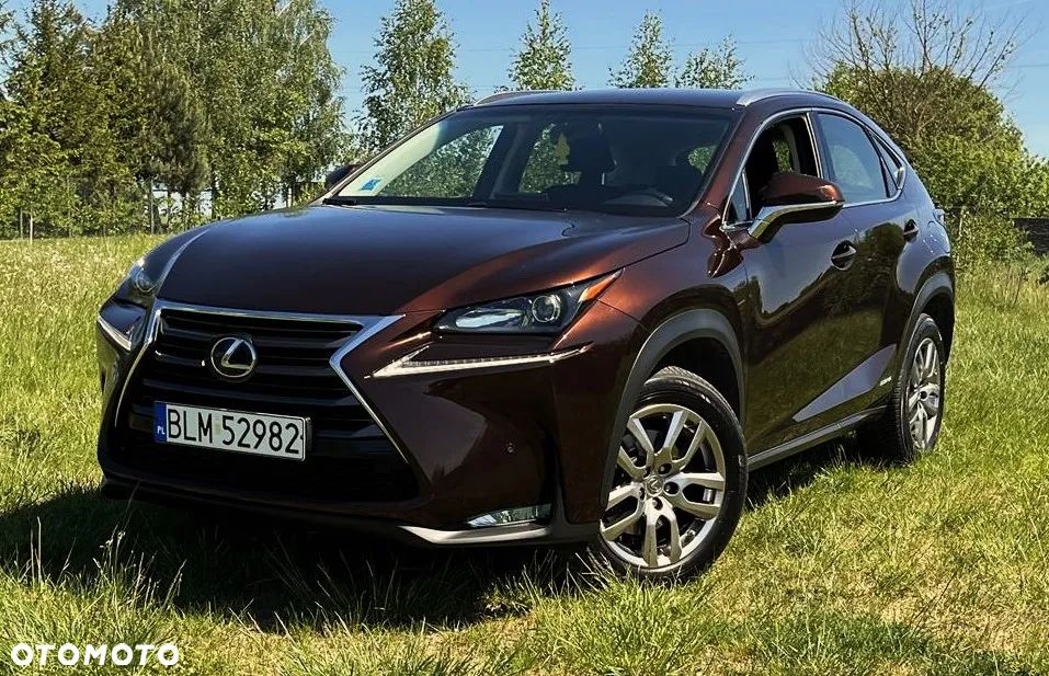 Lexus NX - 1