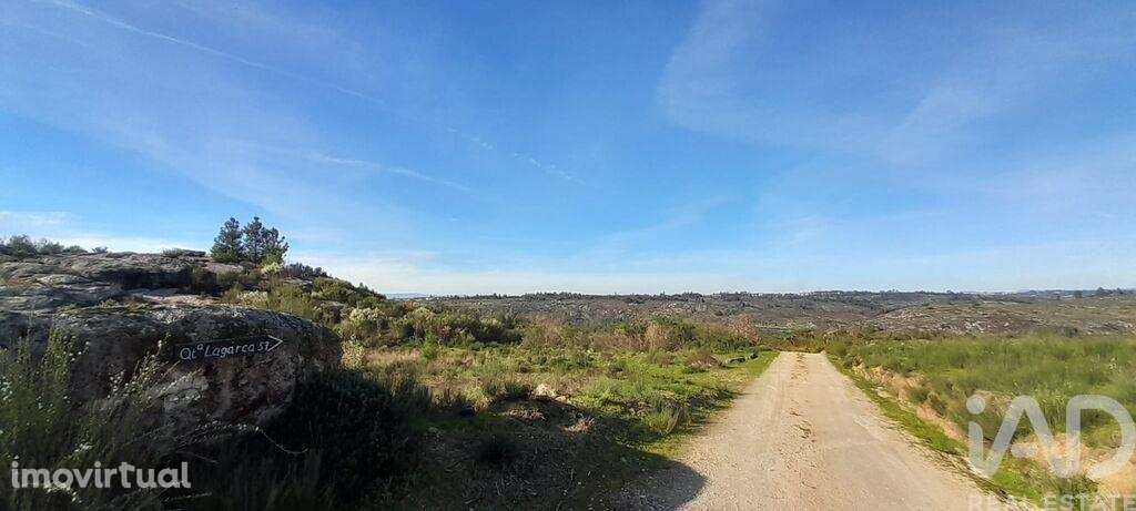Terreno em Oliveira do Hospital e São Paio de Gramaços de 24500,00 m2 - Grande imagem: 5/8