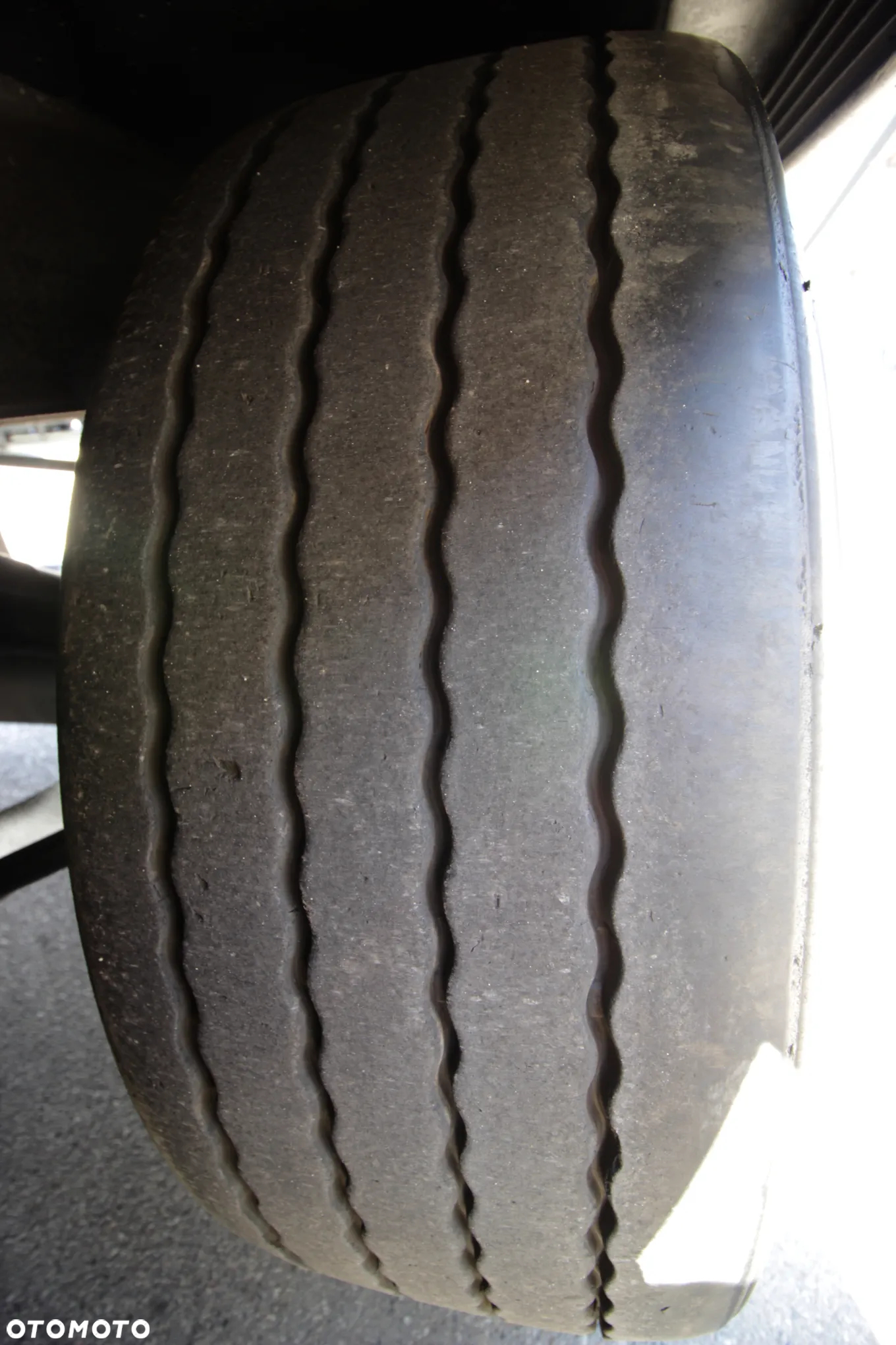 Schmitz Cargobull FP 60 V7 Thermo King SLXi 300 / JAK NOWA / ŚCIANA 7 CM / - 25