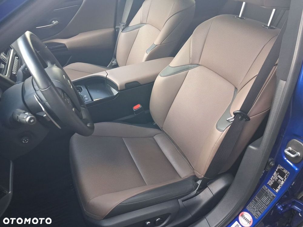 Lexus ES 300h F Sport Design - 21