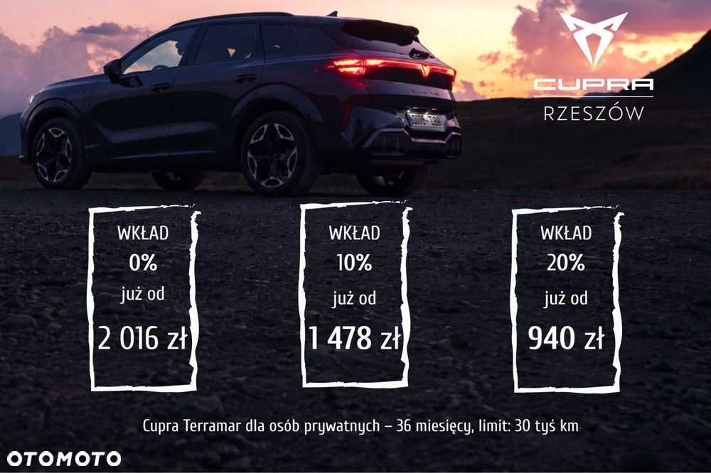 Cupra Terramar 2.0 TSI 4Drive DSG - 2