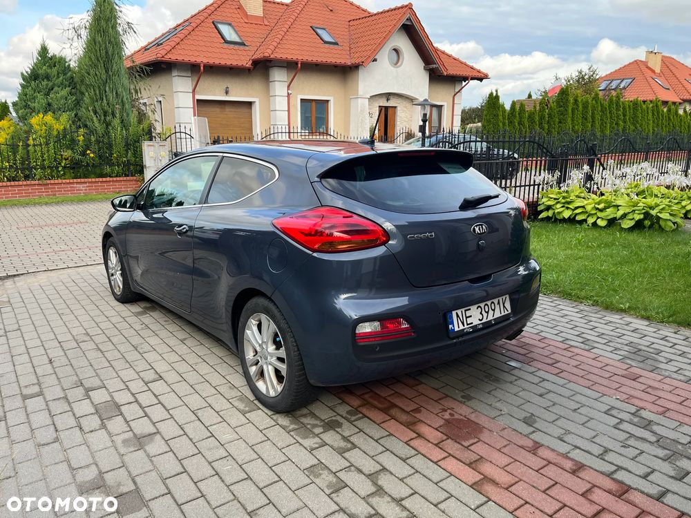 Kia ProCeed - 2