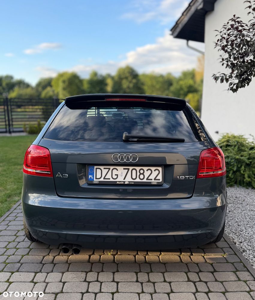 Audi A3 3-drzwiowe 1.9 TDI DPF Ambiente - 2