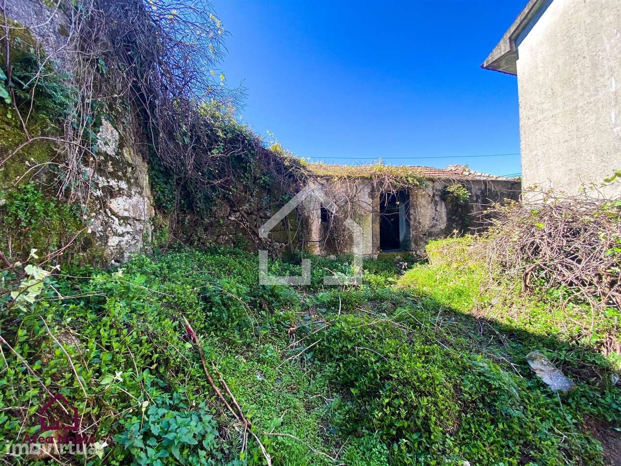 Casa em Ruínas para Restaurar - Grande imagem: 2/13