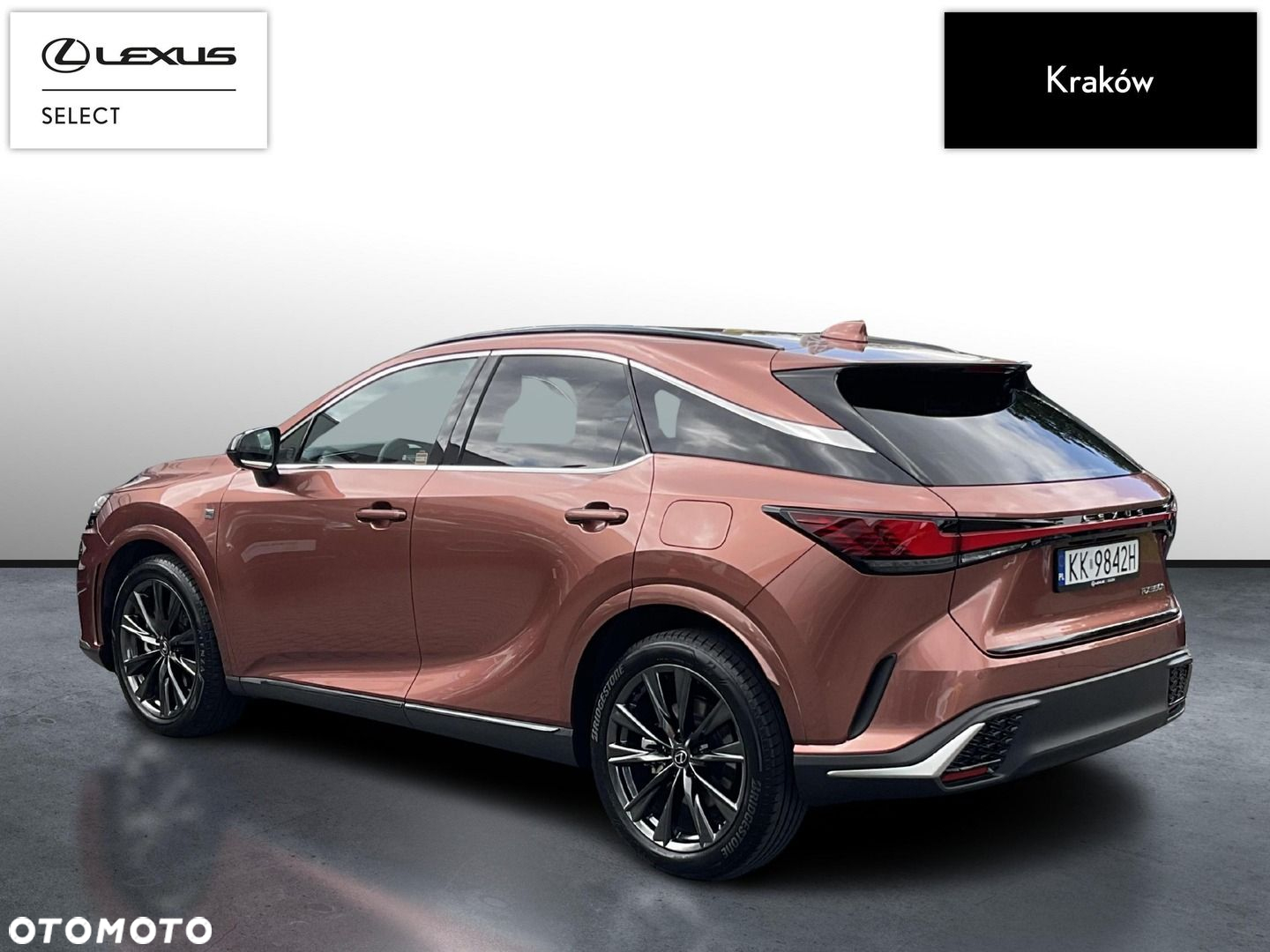 Lexus RX - 3