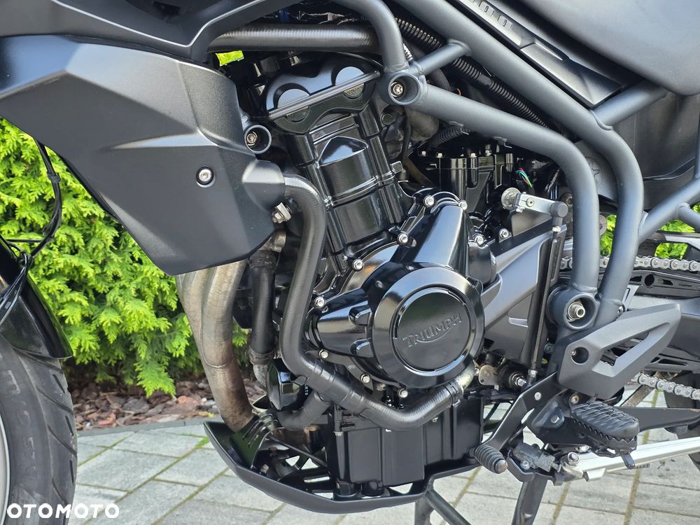 Triumph Tiger - 31