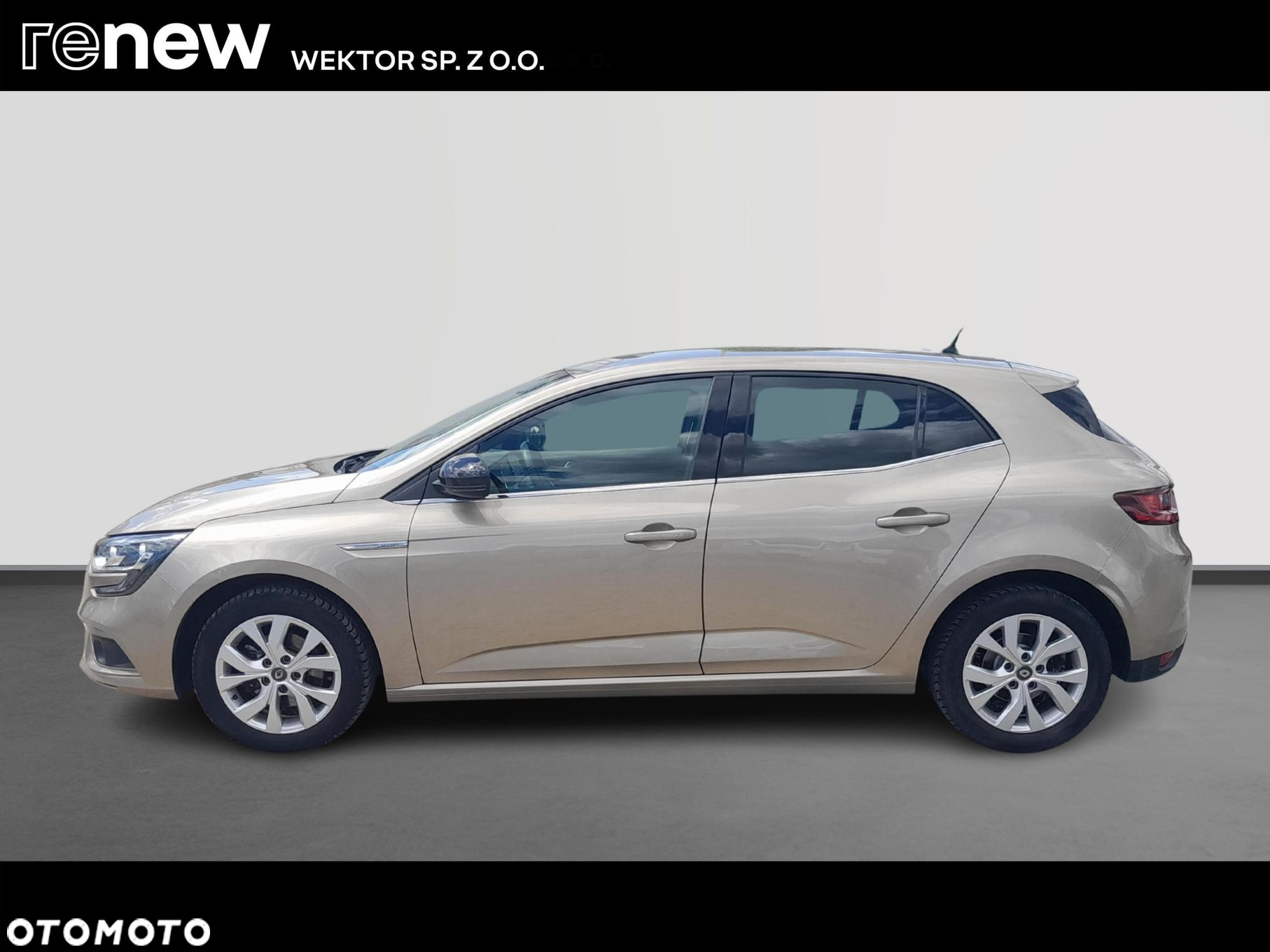 Renault Megane 1.3 TCe FAP Limited - 2