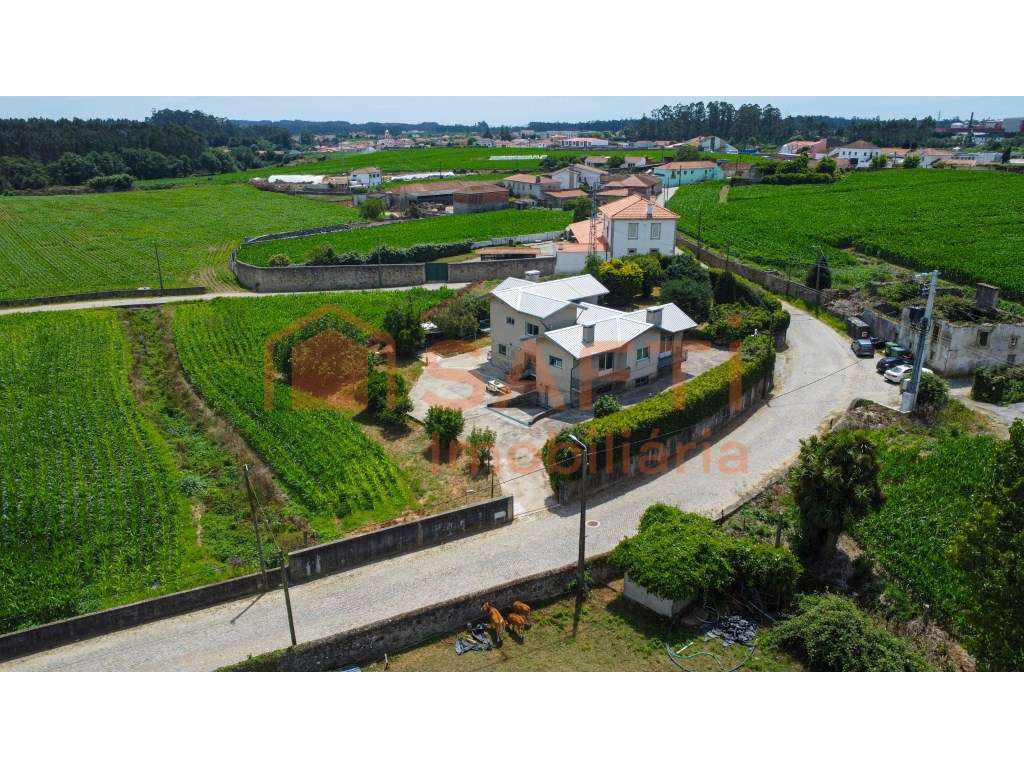 Moradia Bi-Familiar T4 inserida num lote de 1.480 m² em Gião, Vila ... - Grande imagem: 3/56