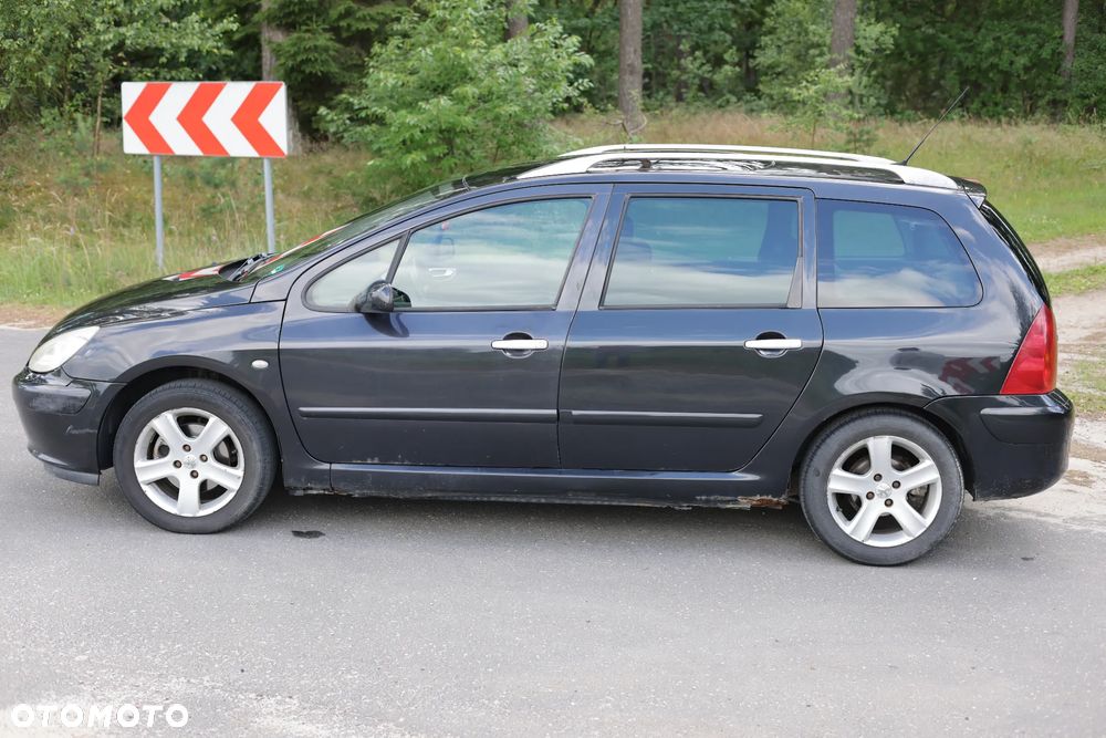 Peugeot 307 2.0 Mistral - 8