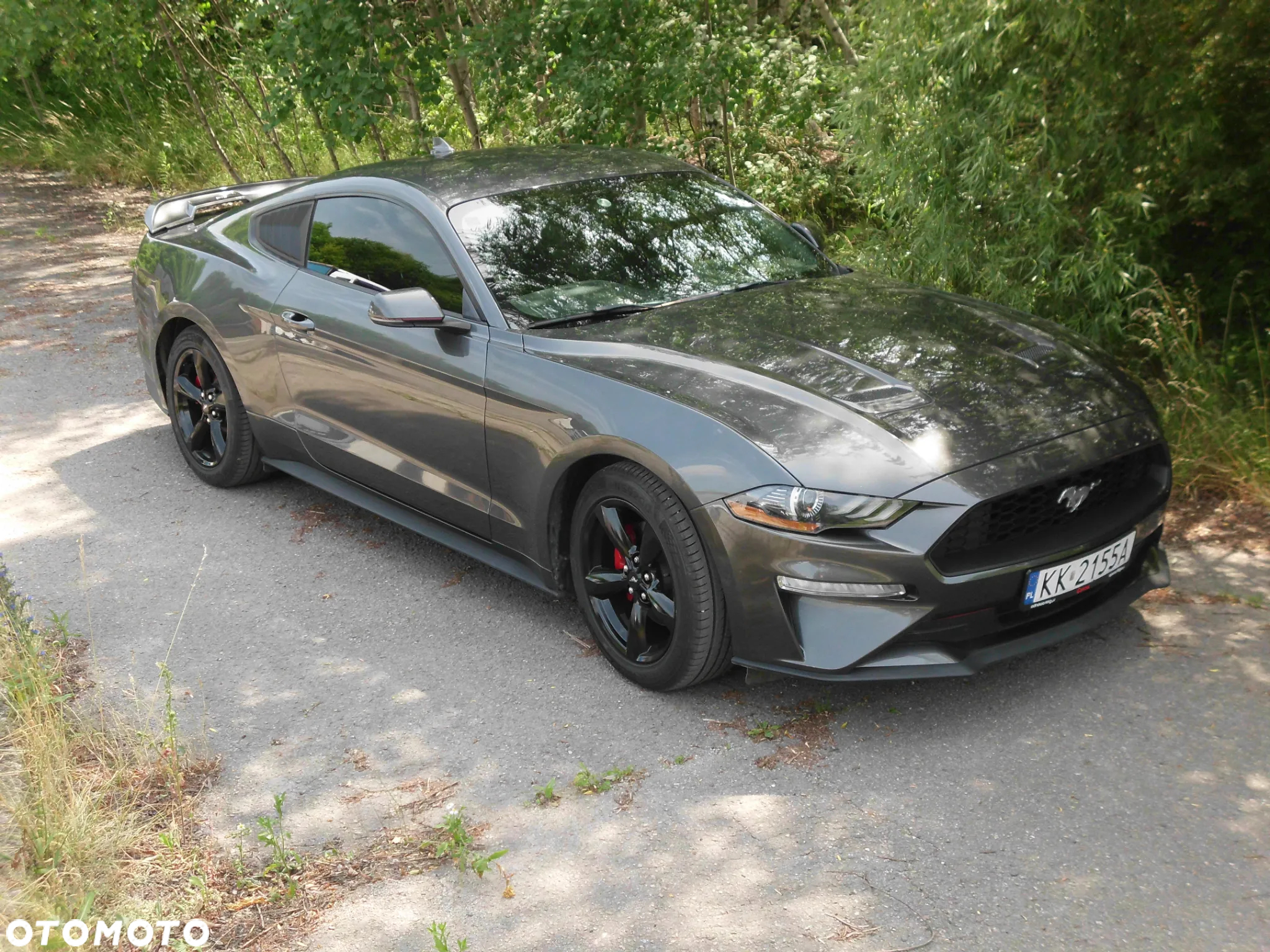 Ford Mustang 2.3 Eco Boost - 5