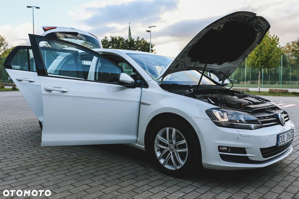 Volkswagen Golf - 28