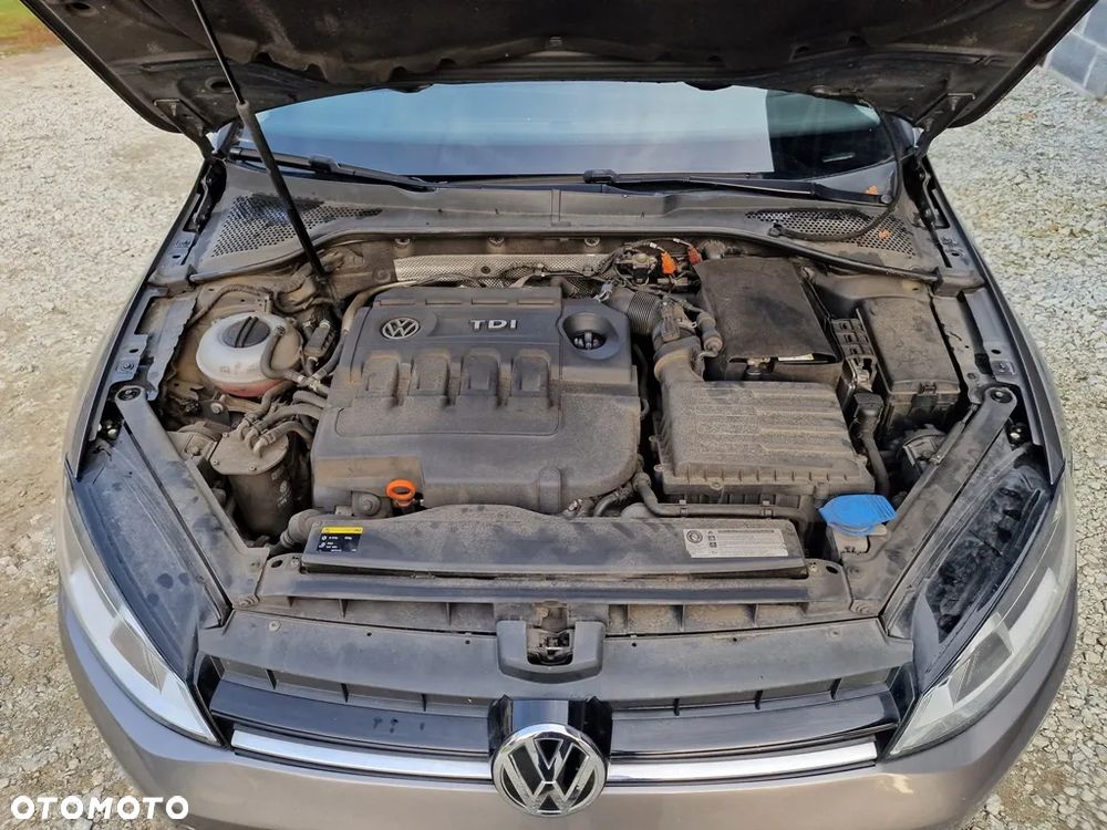 Volkswagen Golf - 20