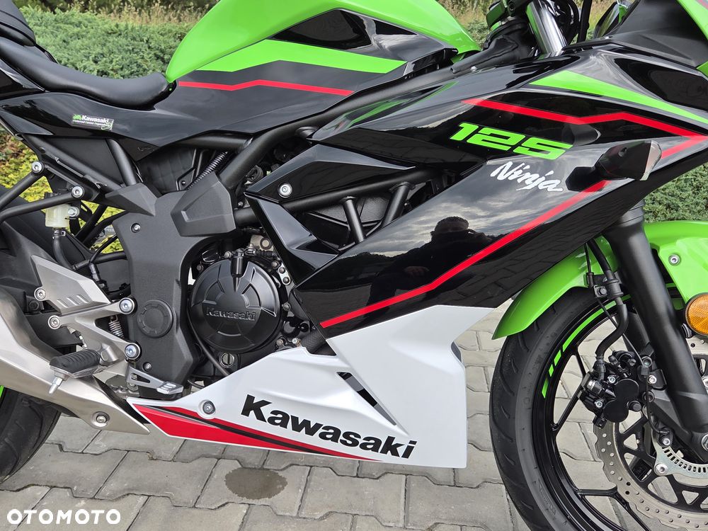 Kawasaki Ninja - 19