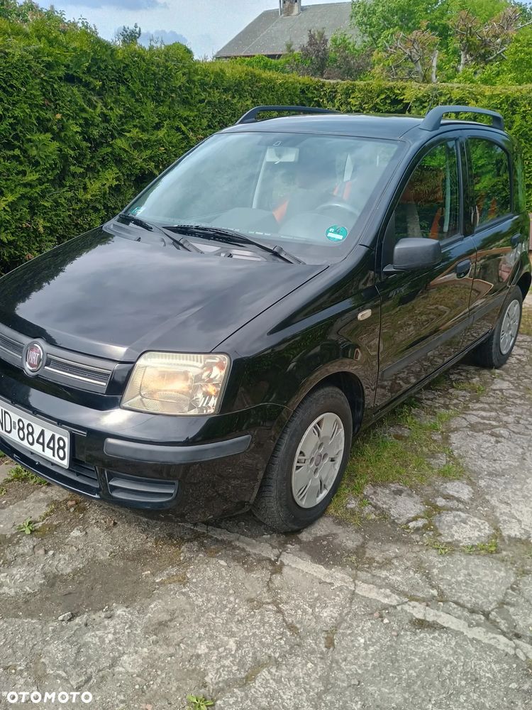 Fiat Panda - 1