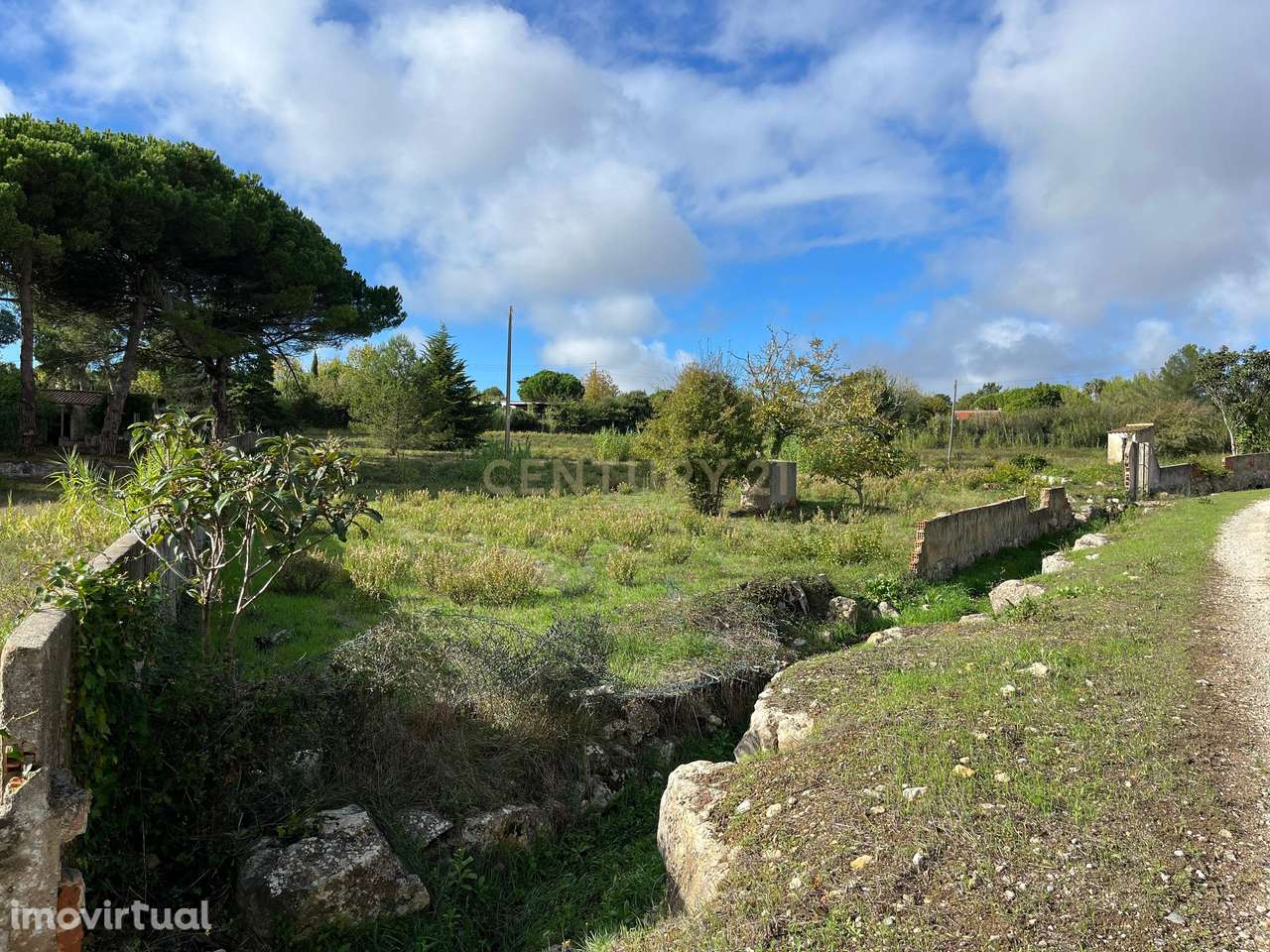 Terreno rústico 8.600 m2, em Morelinho, Sintra - Grande imagem: 3/5