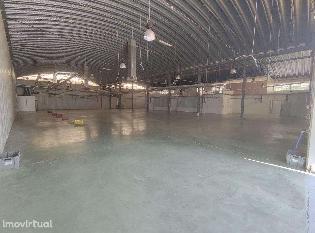 Armazém/fábrica com licenciamento industrial em Castelo de Paiva - Grande imagem: 4/34