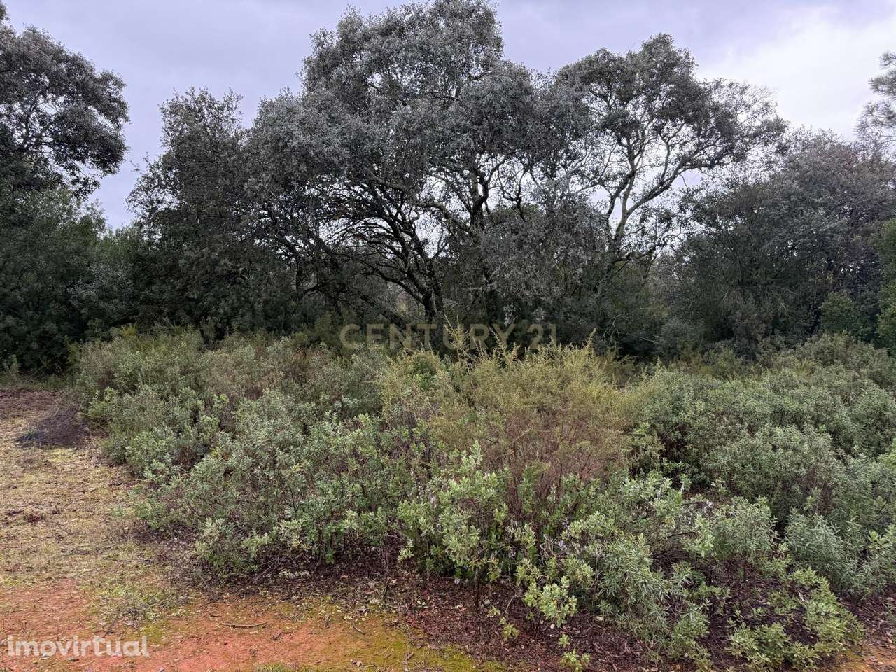Terreno Rústico à Venda 23.000€ – Pernes, Malhou, Louriceira e Espinhe - Grande imagem: 4/17
