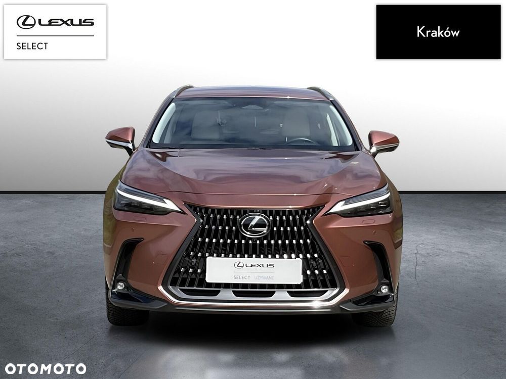 Lexus NX - 8