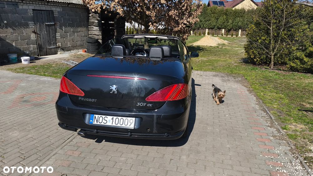 Peugeot 307 CC - 4