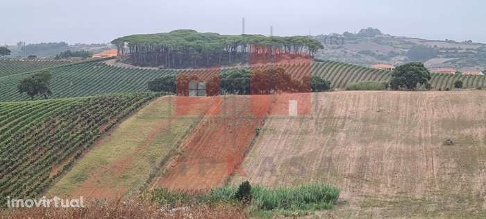 Terrenos Urbanos + Terreno Rustico - Grande imagem: 3/30