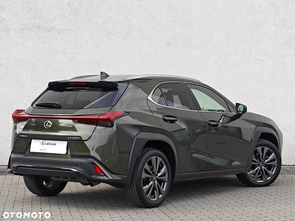 Lexus UX 250h GPF F Sport Design+ 2WD - 6