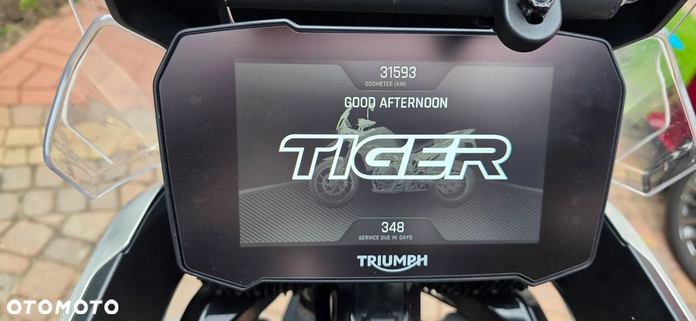 Triumph Tiger - 13