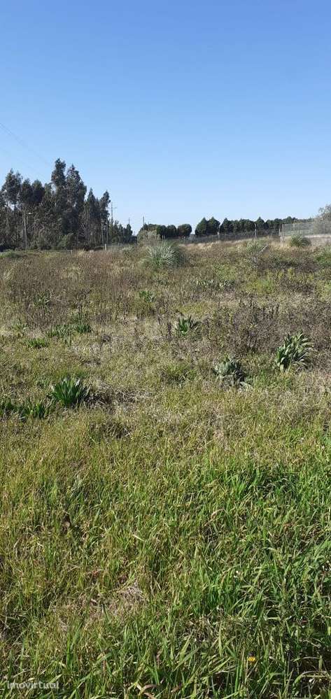 Fantástico Terreno para construção - Grande imagem: 4/12