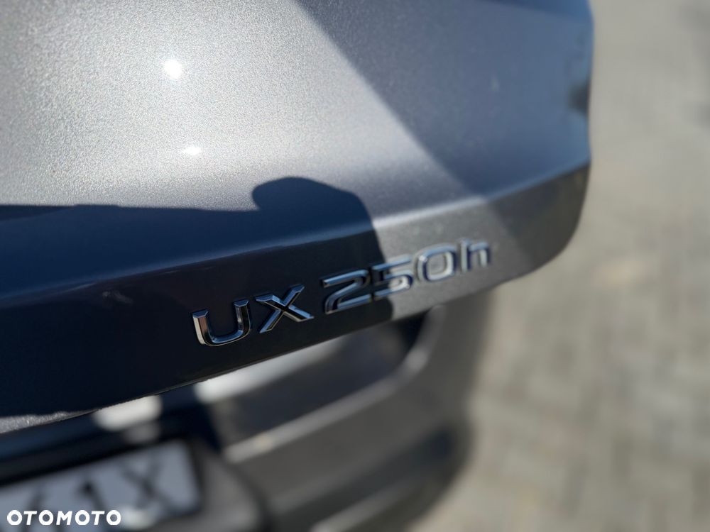 Lexus UX 250h GPF Business Edition AWD - 16