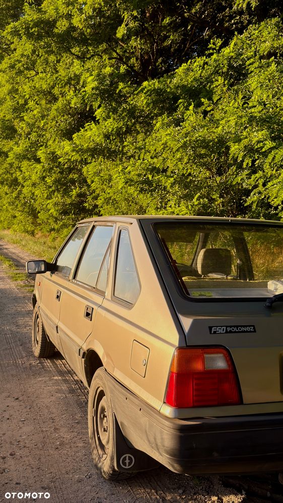 Polonez Caro - 11