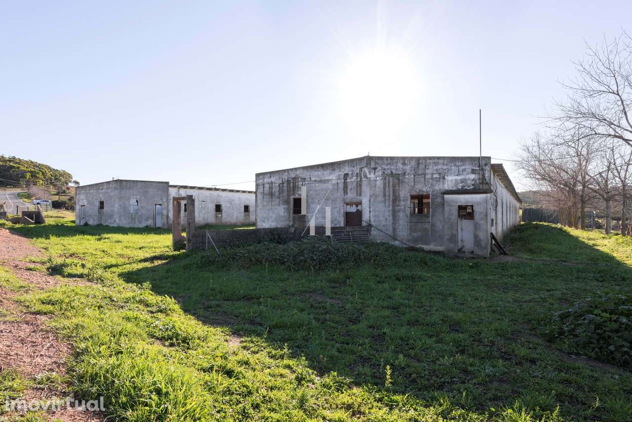 Terreno rústico 6ha para projeto agroturístico em Monte Ruivo, Aljezur - Grande imagem: 4/30