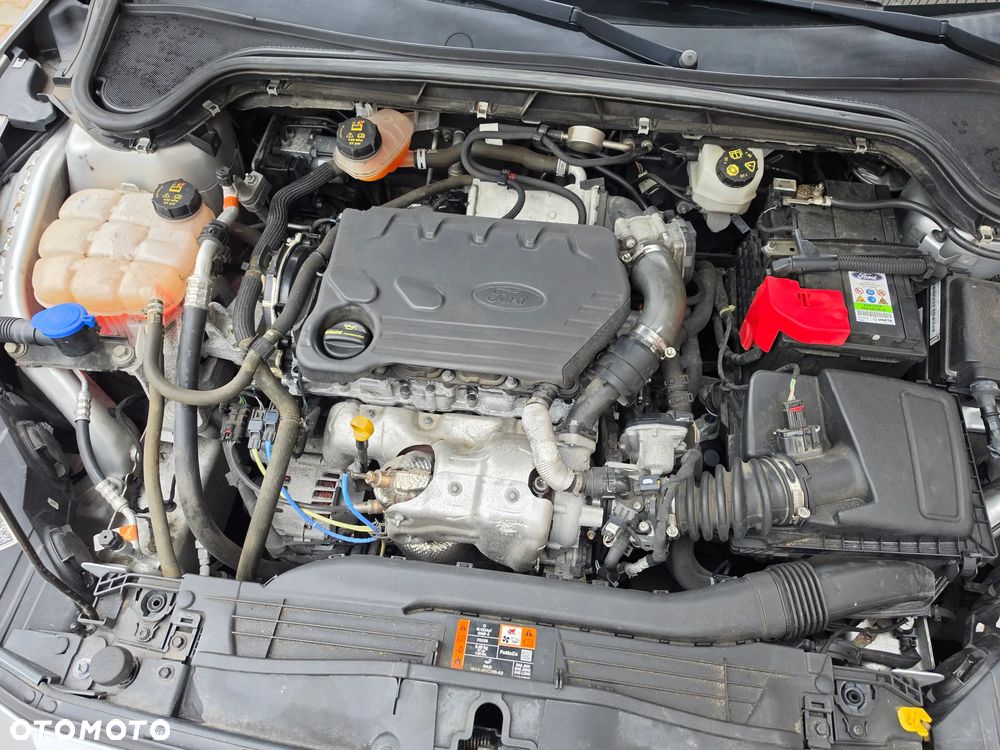 Ford Focus - 29