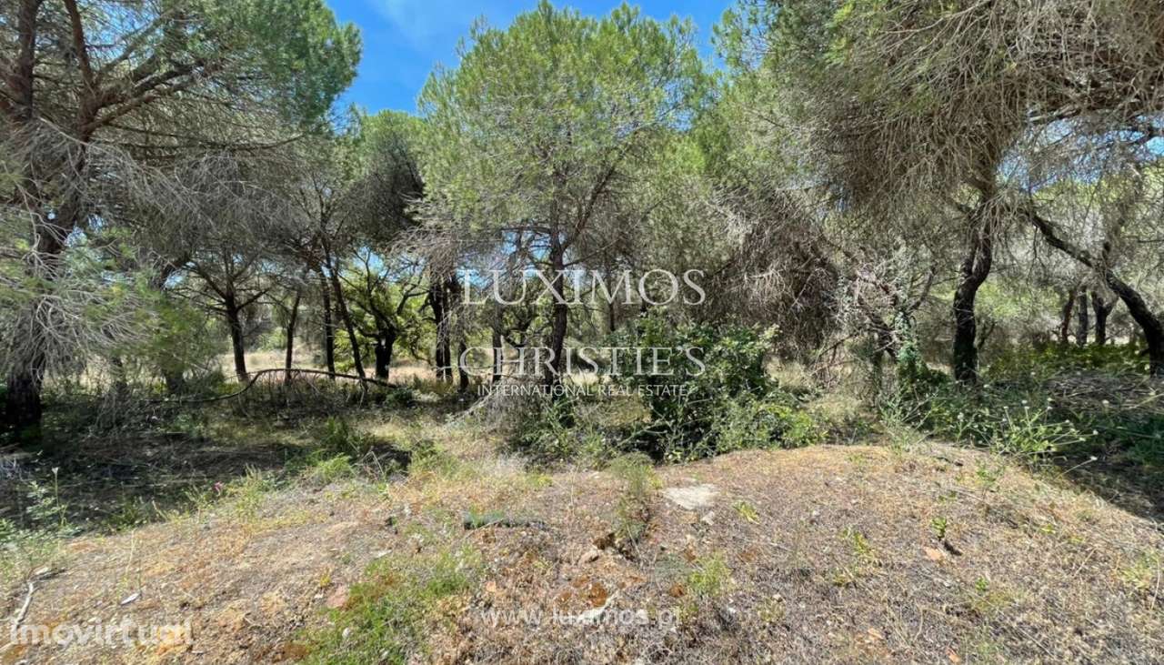 Terreno rústico para venda na Quinta do Lago, Algarve - Grande imagem: 3/10