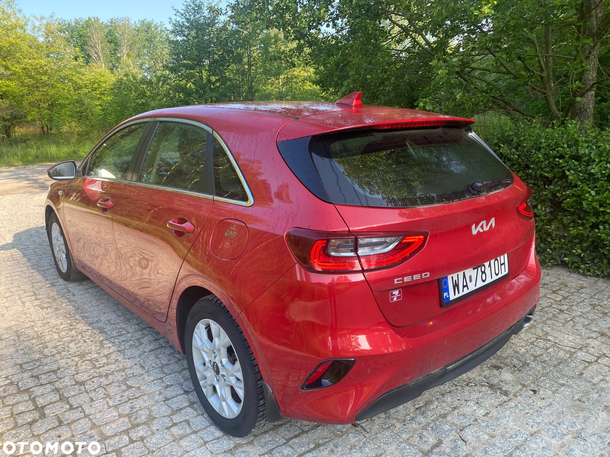 Kia Ceed 1.5 T-GDI M - 7