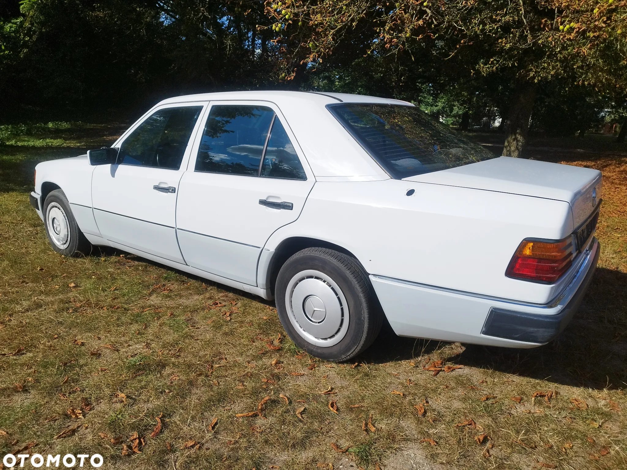 Mercedes-Benz W124 (1984-1993) - 10