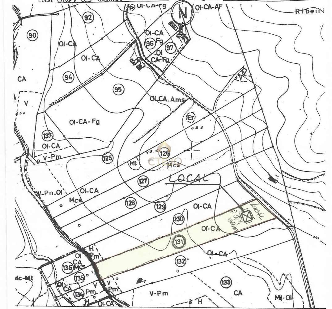 Terreno rustico Azambuja (Casal de alem) - Grande imagem: 2/3