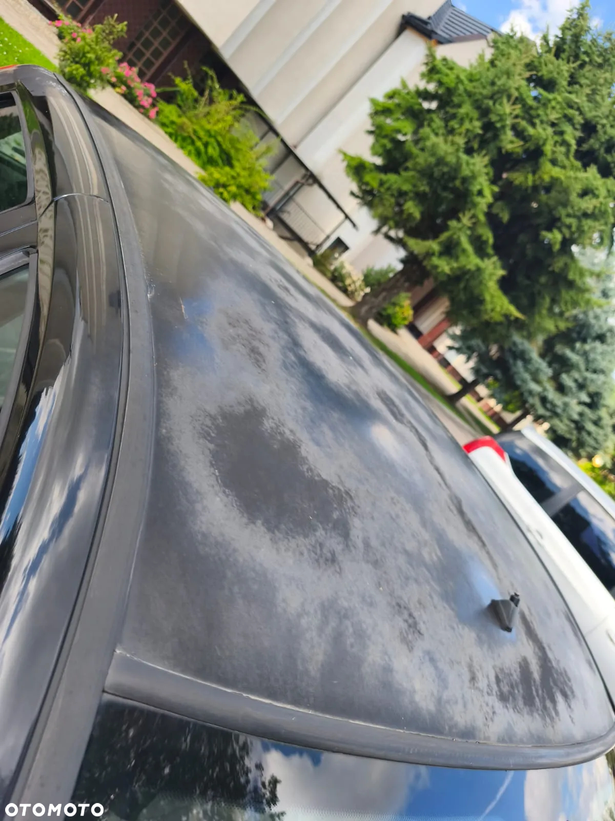 Fiat Punto - 16