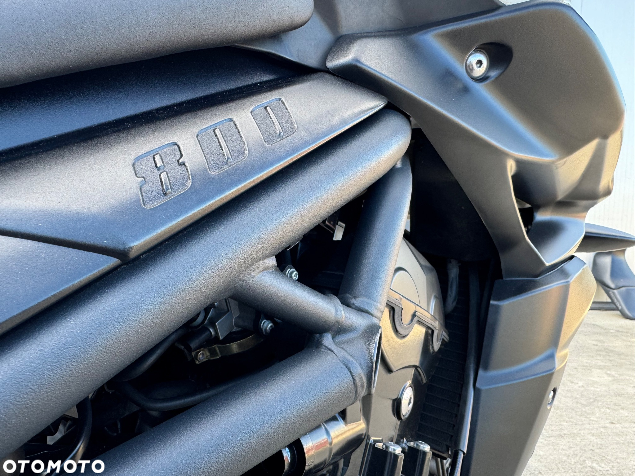 Triumph Tiger - 23
