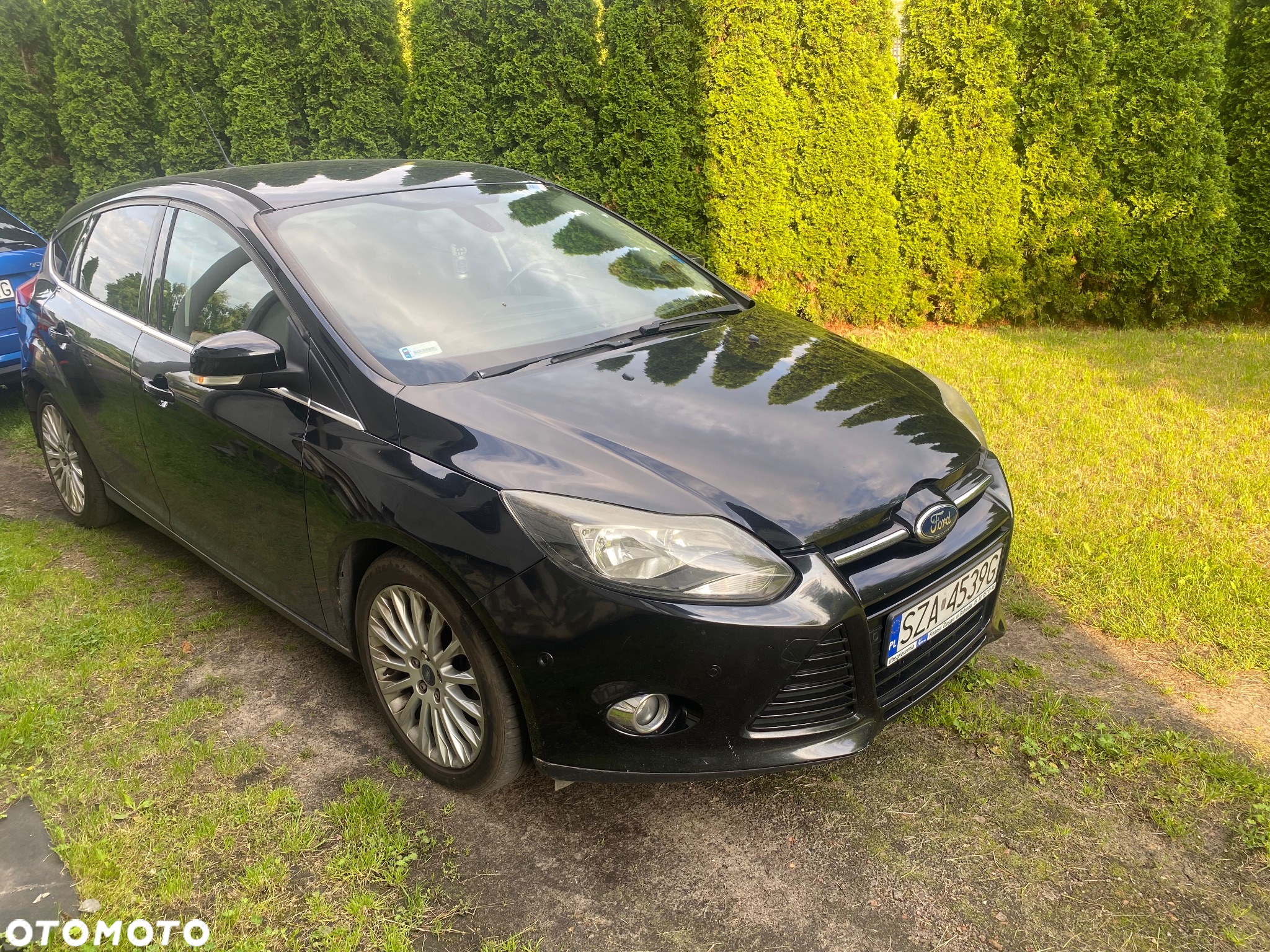 Ford Focus - 10